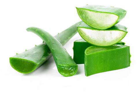 7 Cara Merawat Tubuh dengan Bahan Alami: Glowing Alami Tanpa Ribet! 7 Cara Merawat Tubuh dengan Bahan Alami: Glowing Alami Tanpa Ribet!
