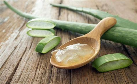 7 Cara Merawat Tubuh dengan Bahan Alami: Glowing Alami Tanpa Ribet! 7 Cara Merawat Tubuh dengan Bahan Alami: Glowing Alami Tanpa Ribet!