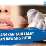 7 Cara Ampuh Menghilangkan Tahi Lalat Secara Alami dan Aman Tanpa Biaya Mahal!
