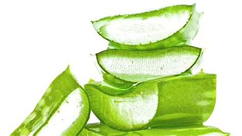 10 Bahan Alami Gak Cuma Murah, Tapi Ampuh Cerahkan Wajah Kusam! 10 Bahan Alami Gak Cuma Murah, Tapi Ampuh Cerahkan Wajah Kusam!