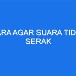 5 Cara Ampuh Menjaga Kesehatan Suara Agar Tidak Serek