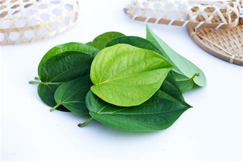 7 Cara Merawat Kulit Tubuh Secara Alami untuk Mendapatkan Kulit Sehat dan Mulus dalam 1 Minggu! 7 Cara Merawat Kulit Tubuh Secara Alami untuk Mendapatkan Kulit Sehat dan Mulus dalam 1 Minggu!